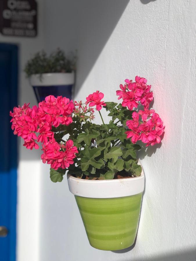 Isleta 5 Apartment La Isleta del Moro Luaran gambar